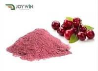 Bulk Freeze Dried Tart Cherry Powder