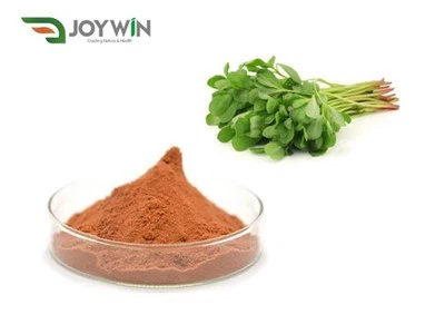 Purslane Extract hmoov
